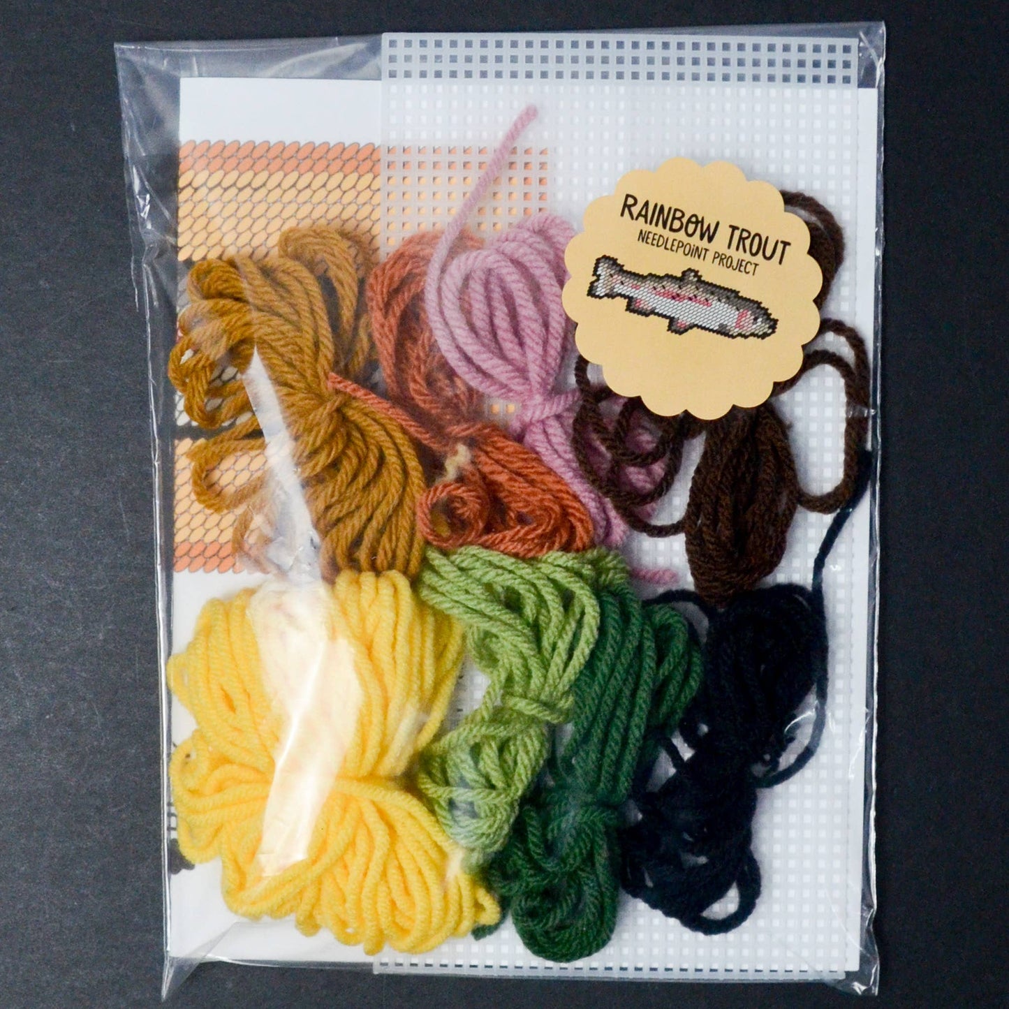 Rainbow Trout Needlepoint Kit by Make and Mend