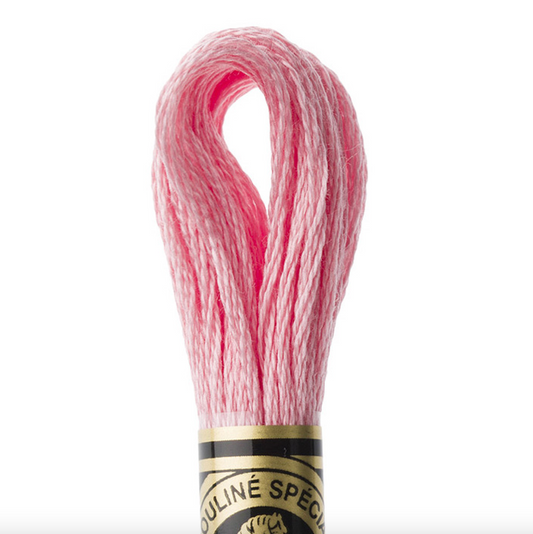 DMC Thread - 6 Strand Embroidery Floss