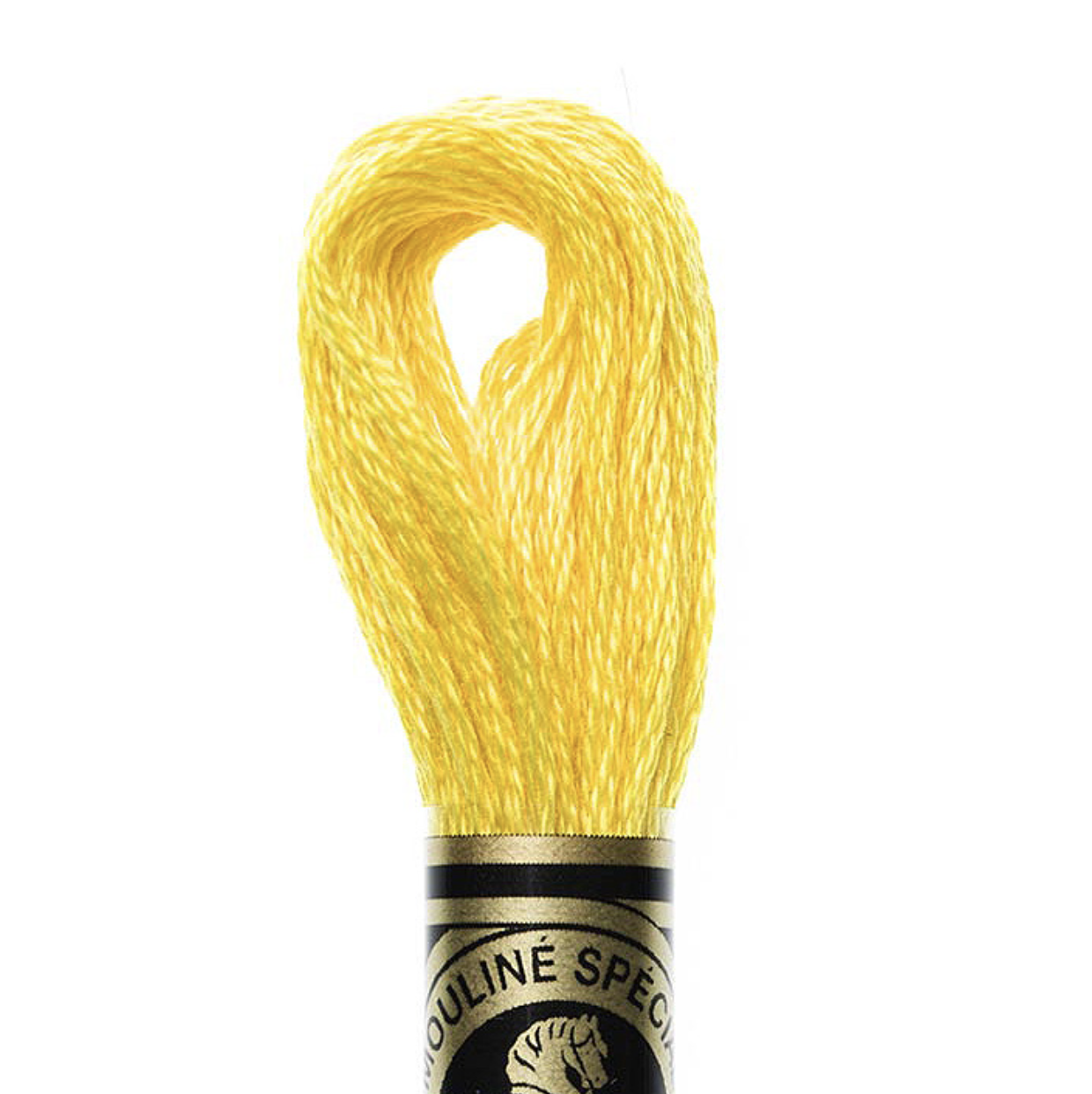 DMC Thread - 6 Strand Embroidery Floss