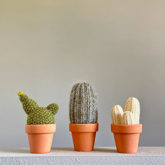 eM Knits Knit Kit- A Prickle of Cactus 2