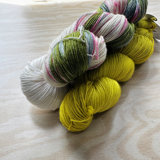 Symfonie Hand Dyed Yarns - Terra Solid & Varigated