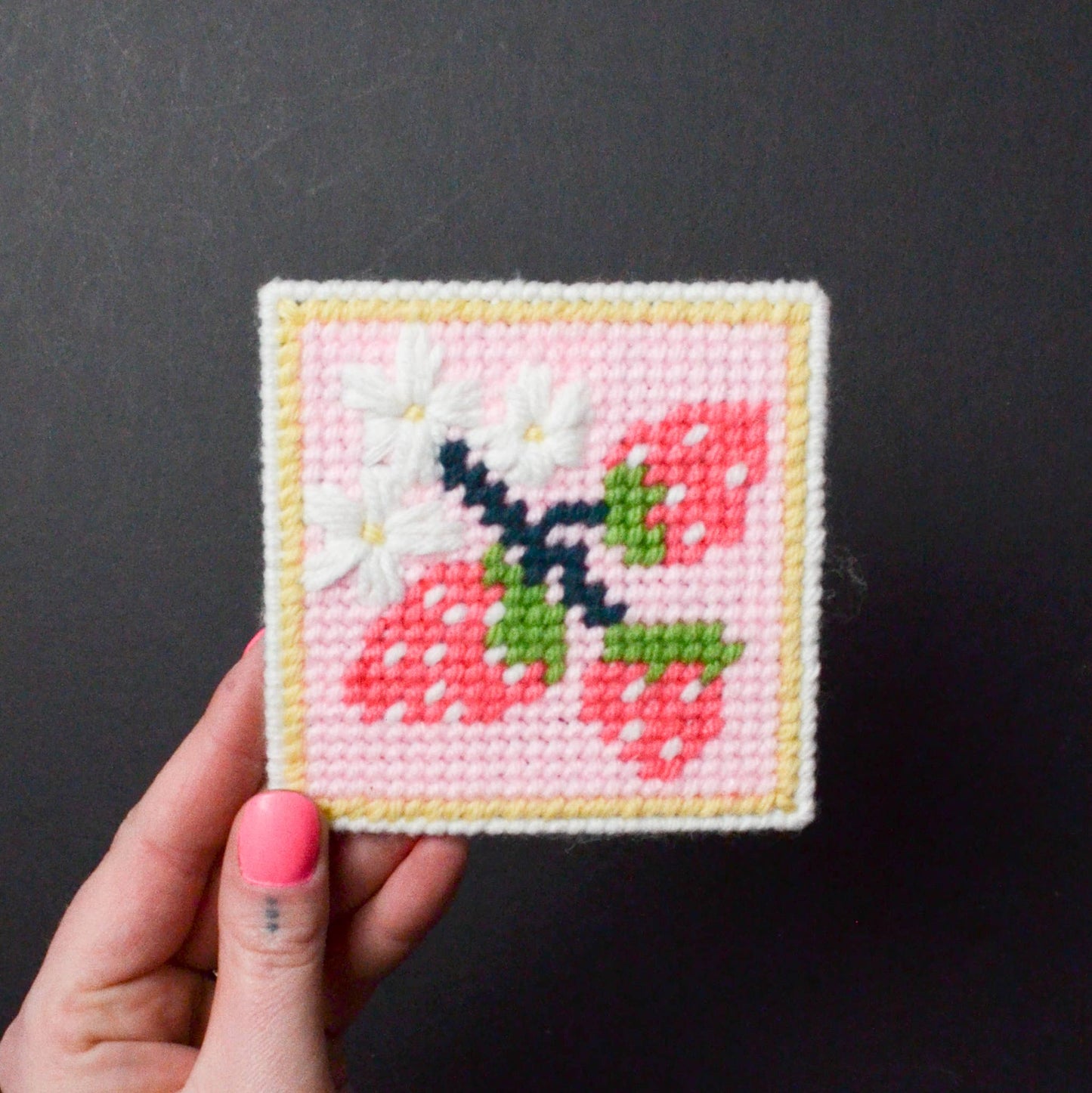 Make and Mend Strawberry Patch Needlepoint Kit