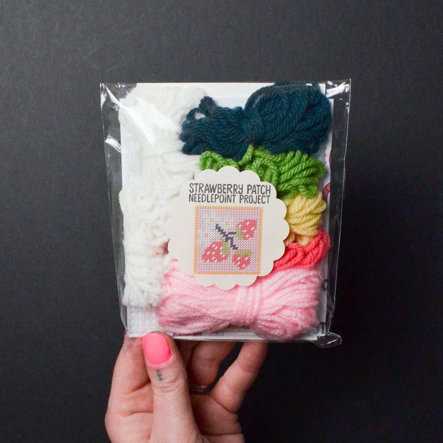 Make and Mend Strawberry Patch Needlepoint Kit