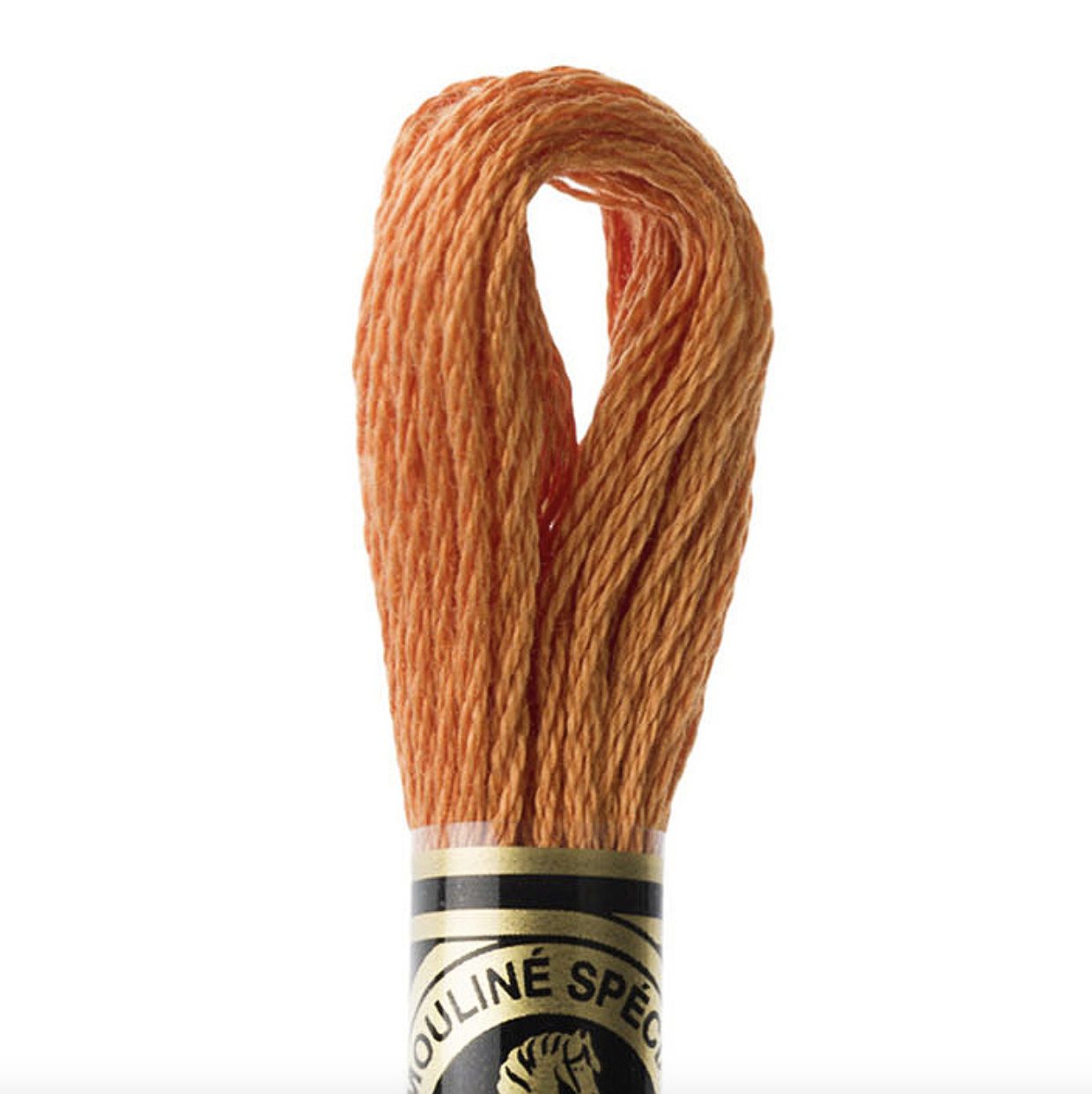 DMC Thread - 6 Strand Embroidery Floss