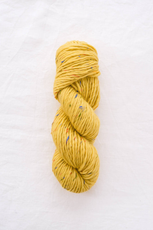 Speckled Puffin: Sun